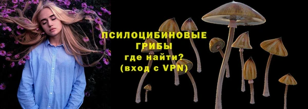 мдма Пролетарск