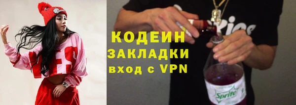 прущие грибы Цивильск