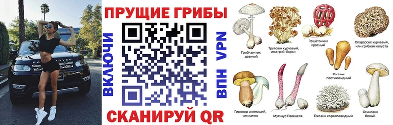 ссылка на мегу   как найти наркотики  Белоозёрский  Псилоцибиновые грибы ЛСД 